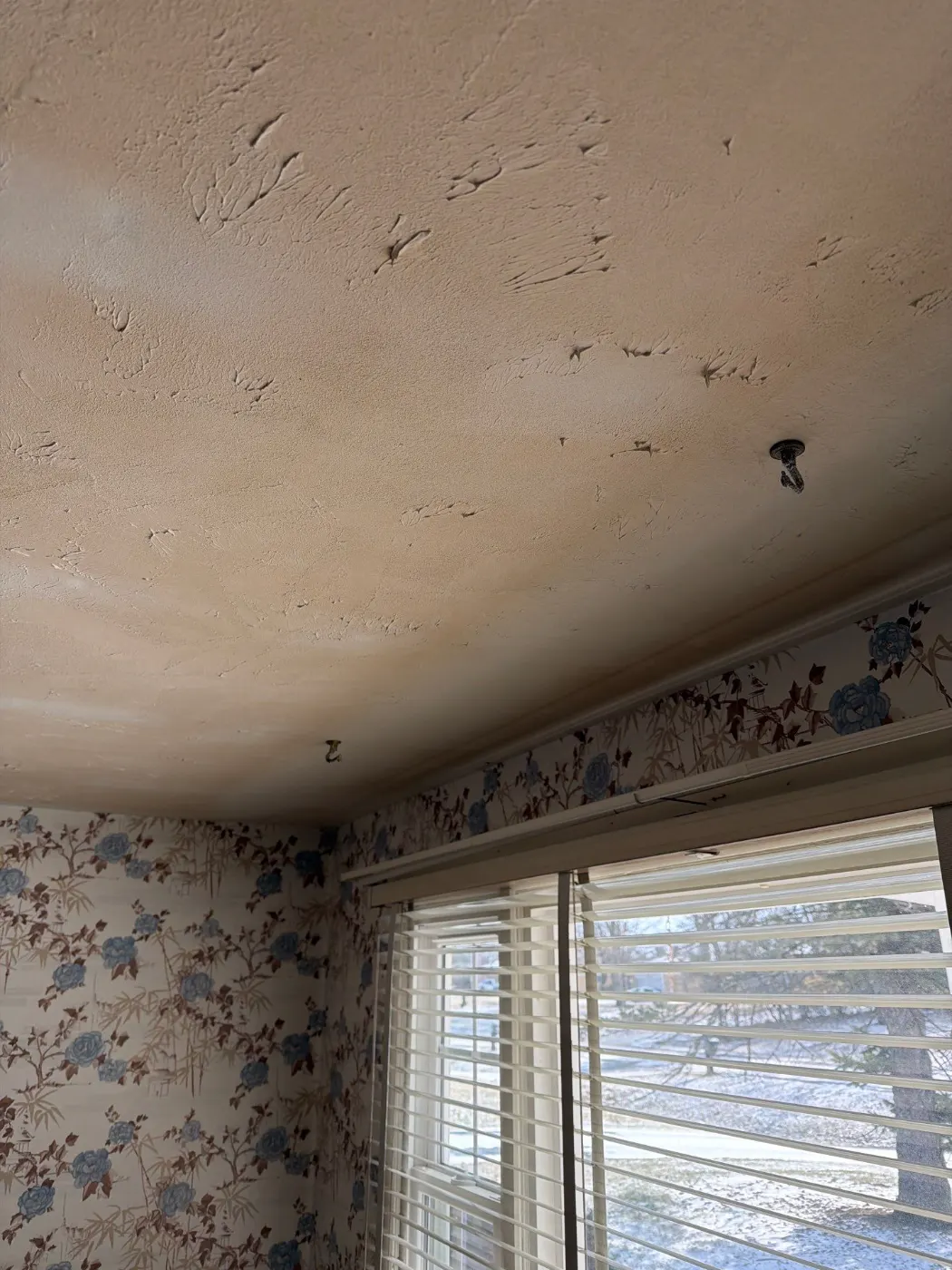 Moisture meter reading on drywall in Hadley Hills water loss